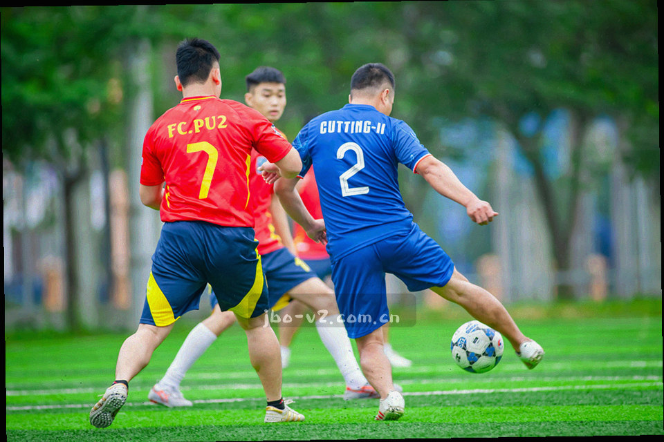 半透明界面面板上的中文站切换状态，当前语言一栏以电光青高亮标出
